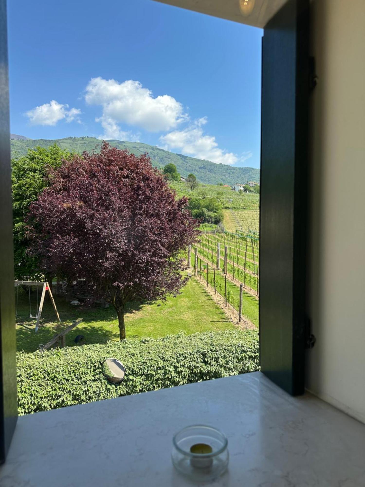 Casa Vacanze Ricca Vigna Valdobbiadene Buitenkant foto