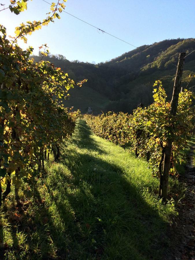 Casa Vacanze Ricca Vigna Valdobbiadene Buitenkant foto